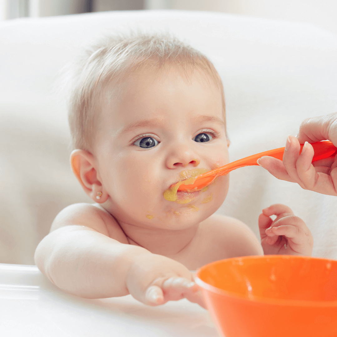 Primul Anisor (Mot) |  |